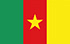 TGM Опросы для заработка наличных в Камеруне