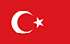 TGM Опросы для заработка наличных в Турции